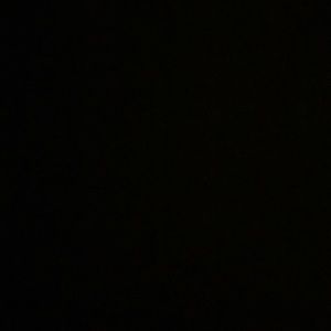 Meet your Posher, Dennis